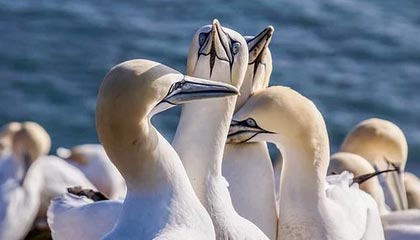 星空体育app：随时随地点亮你的运动热情